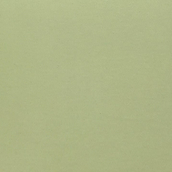 Pastel Green Cotton Lycra/Spandex Solid
