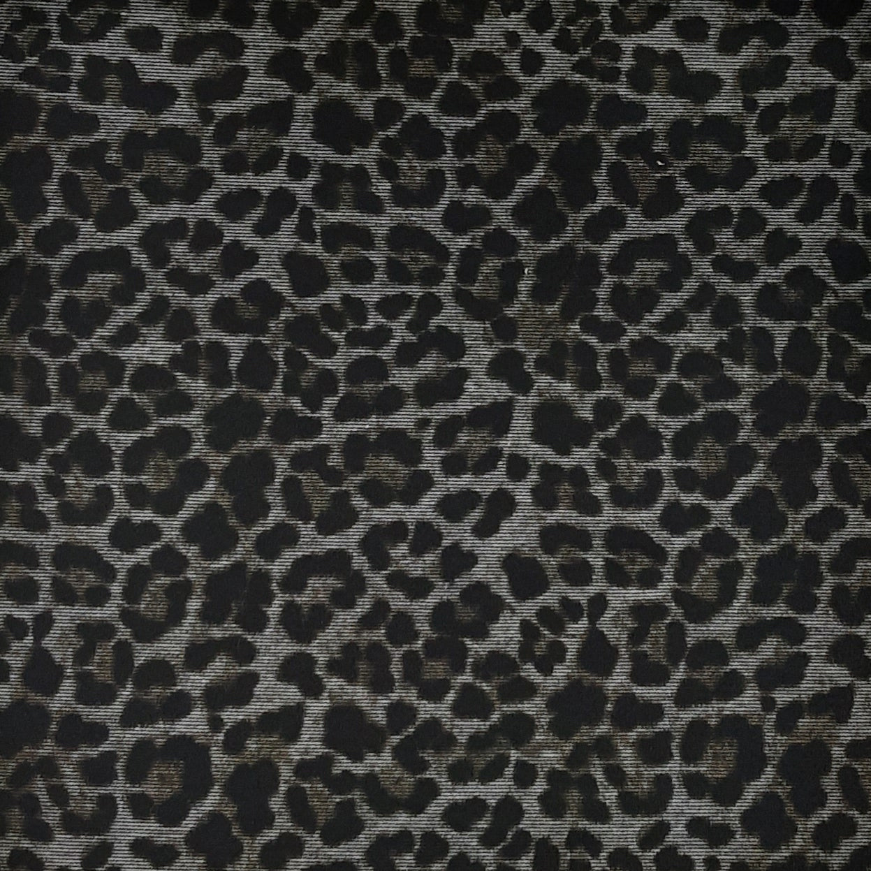 SILVER CTP-1043 PONTI LEOPARD Ponte De Roma