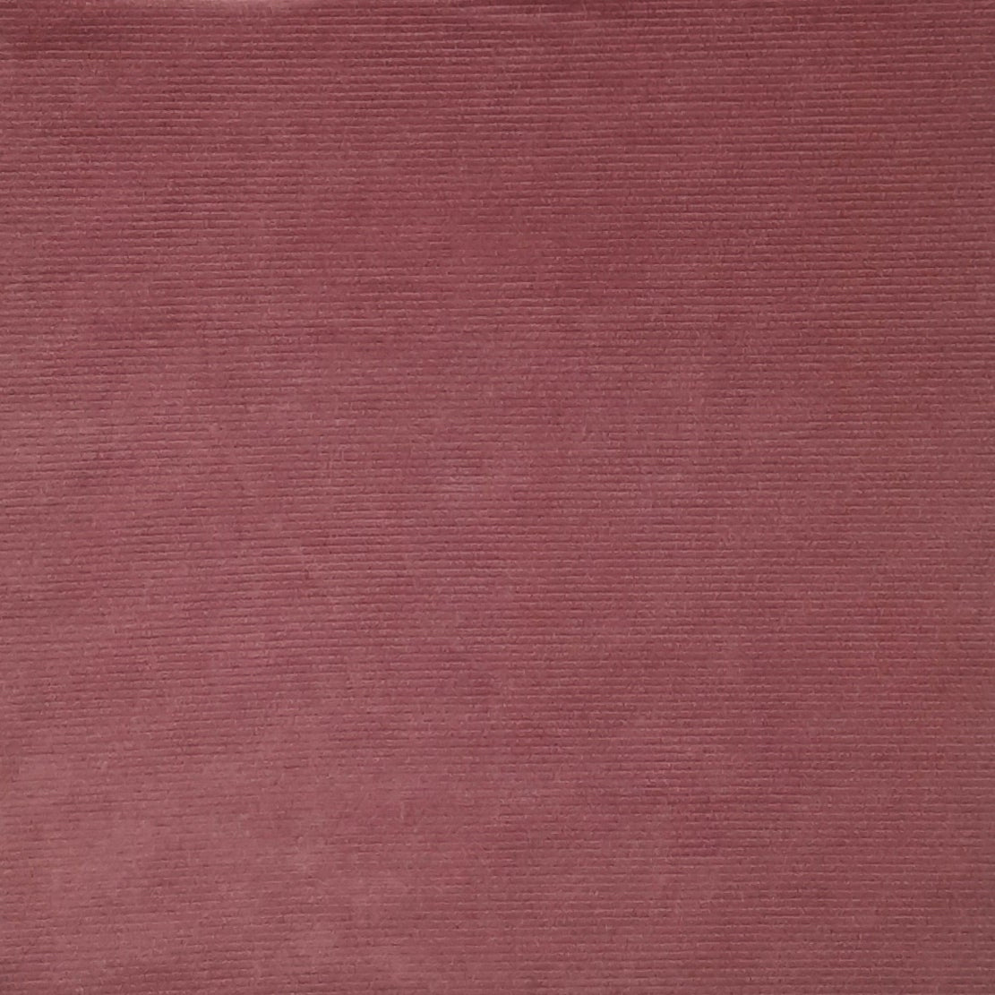 ROSE KNT3831 KNIT CORDUROY VELVET CORDUROY