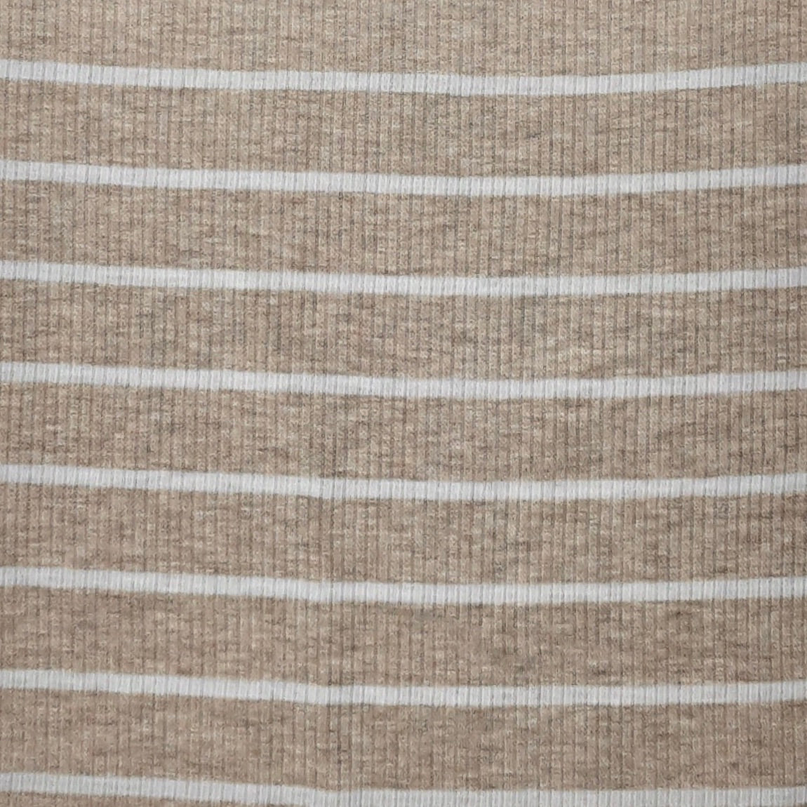 RIB