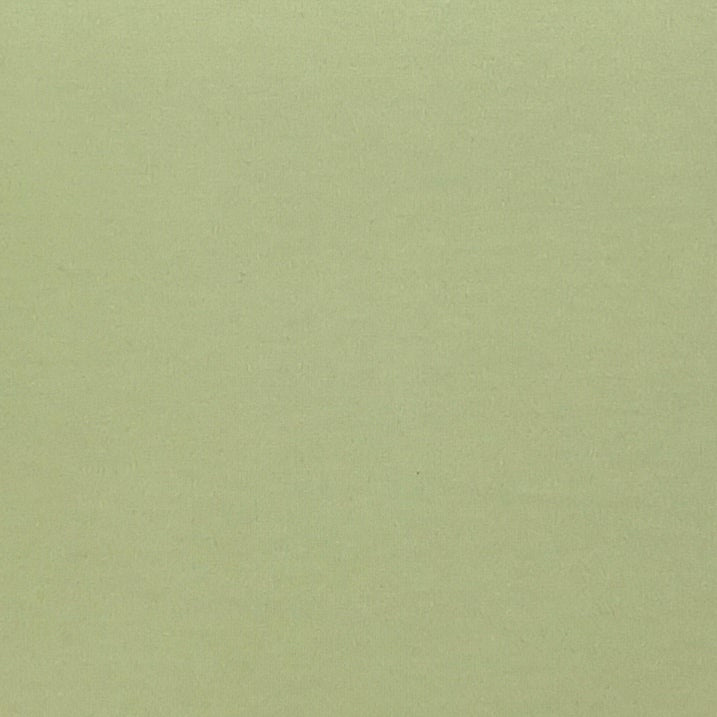Pastel Green Cotton Lycra/Spandex Solid