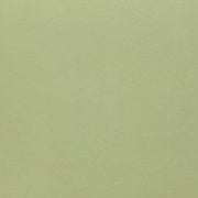 Pastel Green Cotton Lycra/Spandex Solid