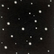 BLACK KNT1374-DU1979 FRENCH TERRY STAR PRINT