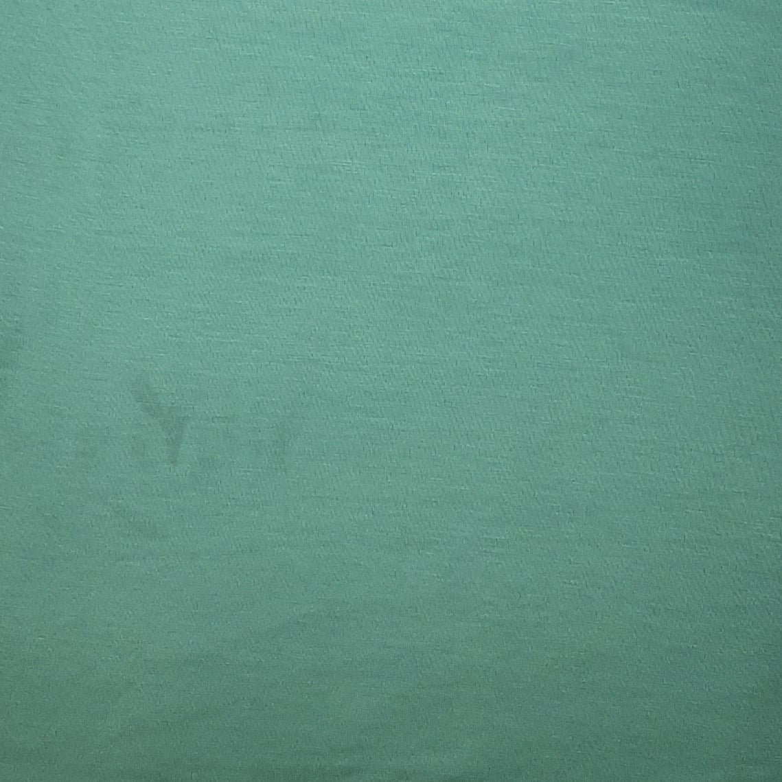 Lucite Green Solid Jersey Rayon Spandex