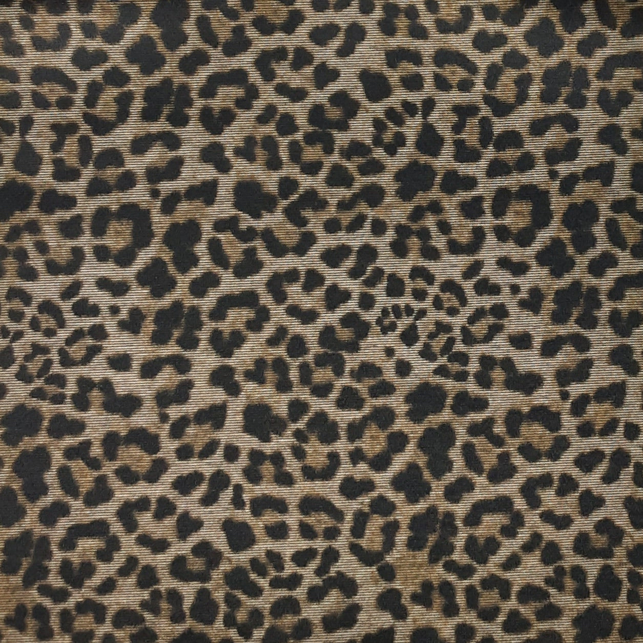 KHAKI CTP-1043 PONTI LEOPARD Ponte De Roma